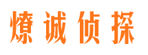 九龙市侦探调查公司